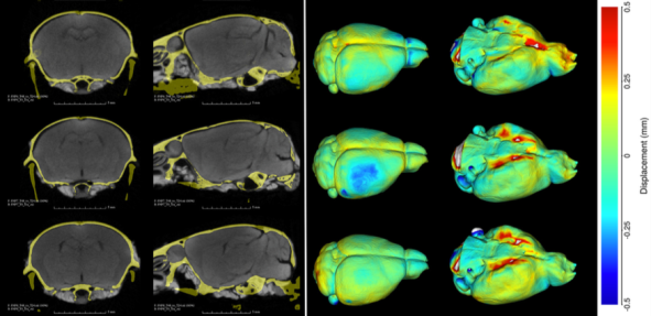 Screen Shot 2016-01-18 at 10.43.36 AM