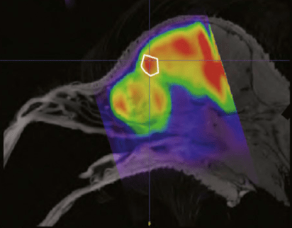 Screen Shot 2016-04-04 at 1.55.02 PM